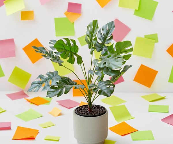 A bright and modern office space with green plants.